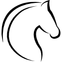 horse-head-with-hair-outline